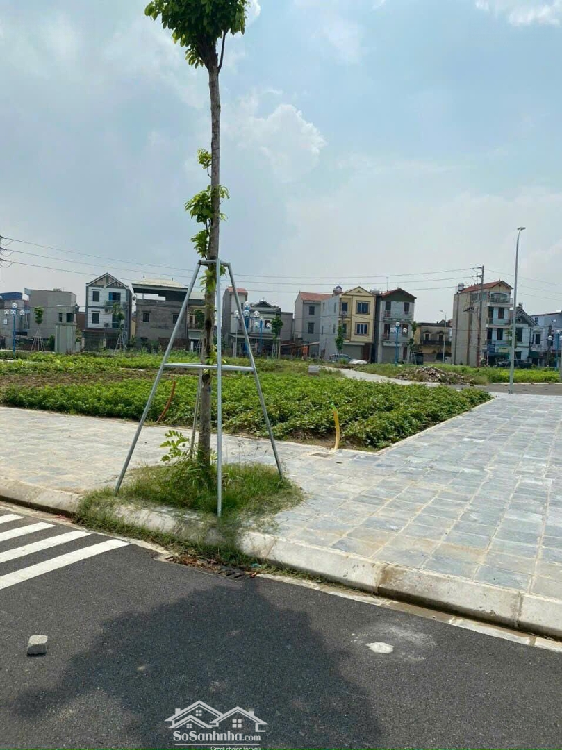 Cần Bán 56M2(3,5X16) Đất Tái Định Cư Mai Hiên, Mai Lâm, Đông Anh. Liên Hệ: 036.735.0556