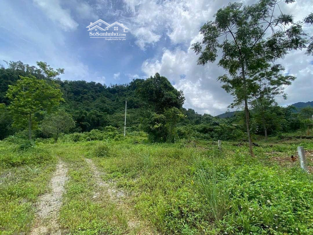 Bán Đất Đông Hà, Đông Hưng, Thái Bình, Giá Tốt 4,2 Tỷ, 153M2 Hàng Hot