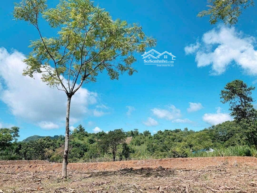 Bán Đất Đông Hà, Đông Hưng, Thái Bình, Giá Tốt 4,2 Tỷ, 153M2 Hàng Hot