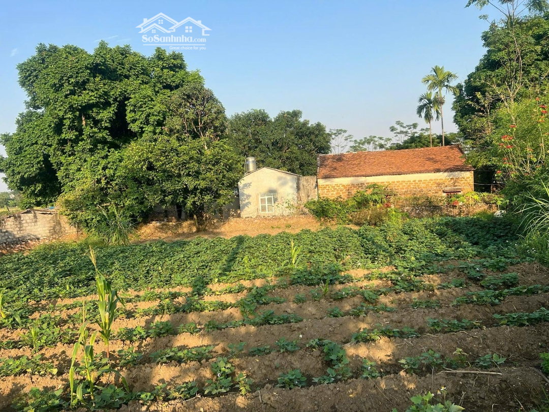Chủ Cần Bán Nhanh Lô Đấtdiện Tích628M2 Tại Thôn Đất Đỏ Xã Liên Sơn Huyện Lương Sơn Hòa Bình
