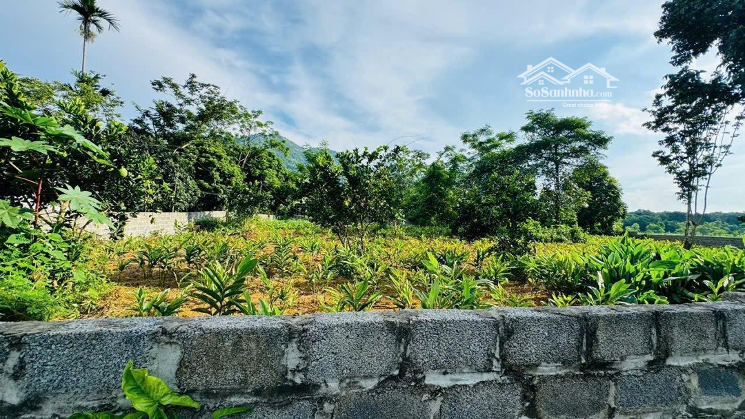 Bán Đất Cư Yên, Lương Sơn, Hoà Bình 1086M2 Lô Góc Vuông Đẹp