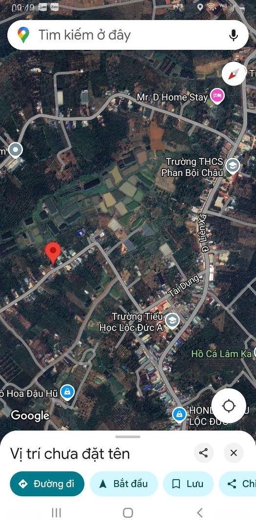 Bán Đất 4700M2 Sẵn Thổ Cư Thuộc Lộc Đức, Bảo Lâm