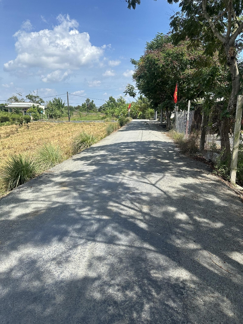 Đất Nền Rộng Rãi Tại Đường T7, Xã Hưng Long, Bình Chánh, Hồ Chí Minh Với Diện Tích 1492.7 M2
