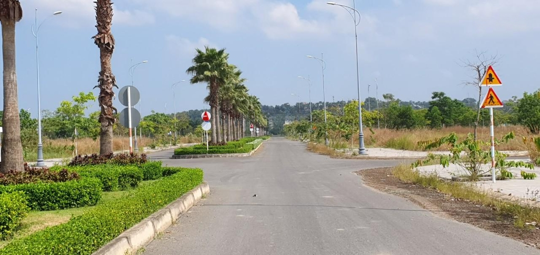 Cơ Hội Sở Hữu Lô Đất Vàng Tại Biên Hòa New City - Mặt Tiền Đường 30M