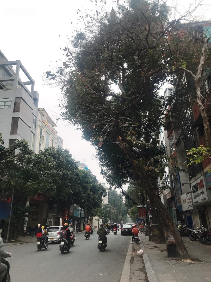 Mặt Phố Huế 120M Đẹp Nhất Quận Hai Bà Trưng 120M2 - Lô Góc -Mặt Tiềnrộng, Vỉa Hè 5M Giá Bán 60 Tỷ