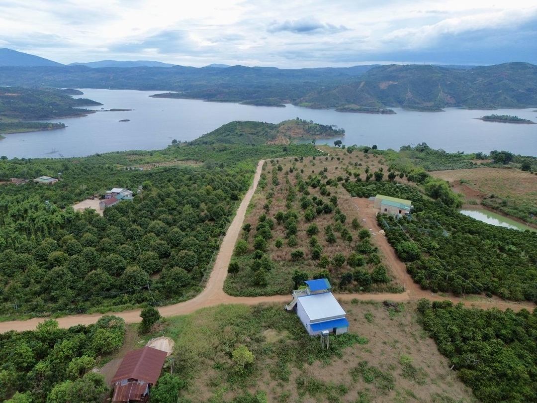 View Hồ - Vườn Sầu Chỉ 780 Tr 1000M2 - 100M2 Thổ Lâm Hà - Lâm Đồng