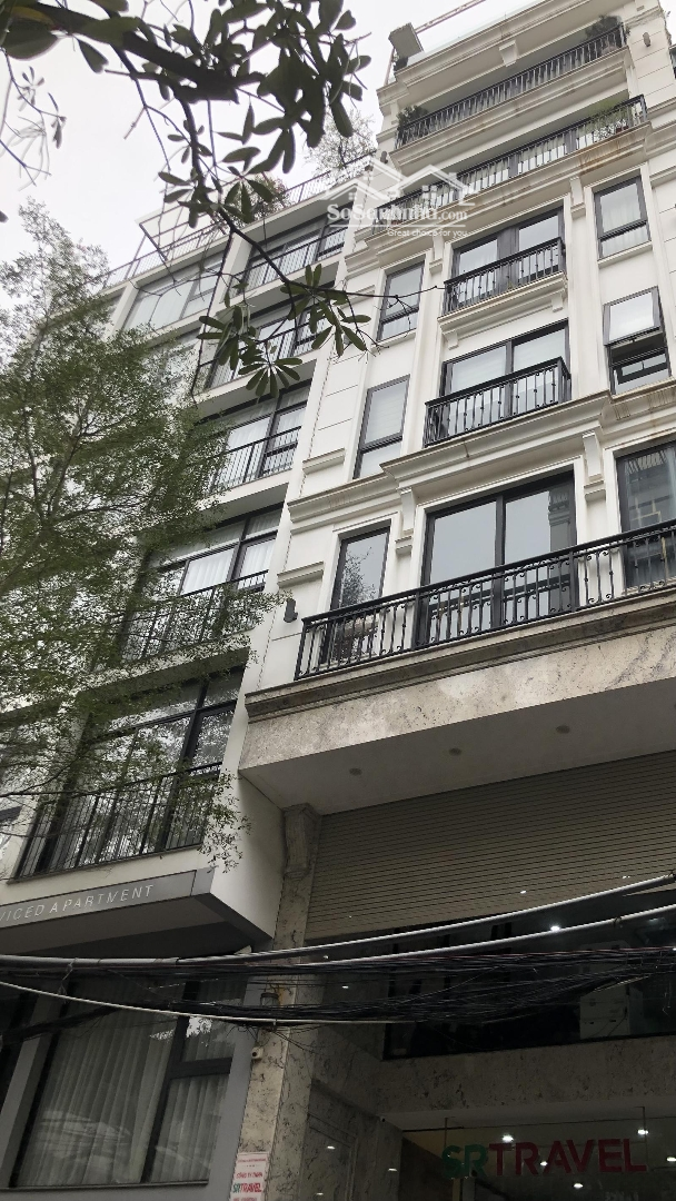 Căn Duy Nhất Phố Liếu Giai_Lô Góc - Kinh Doanh - Phố Nhật. 105M X 6T.mặt Tiền6M3. Giá Bán 39Ty3 Tl