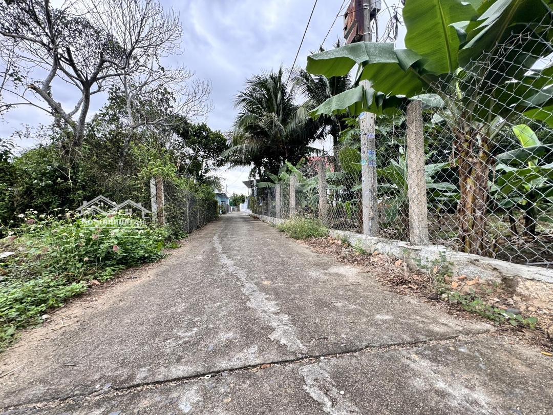 Diên Phước 105,3M Full Thổ''bao Rẻ Nhất Thị Trường