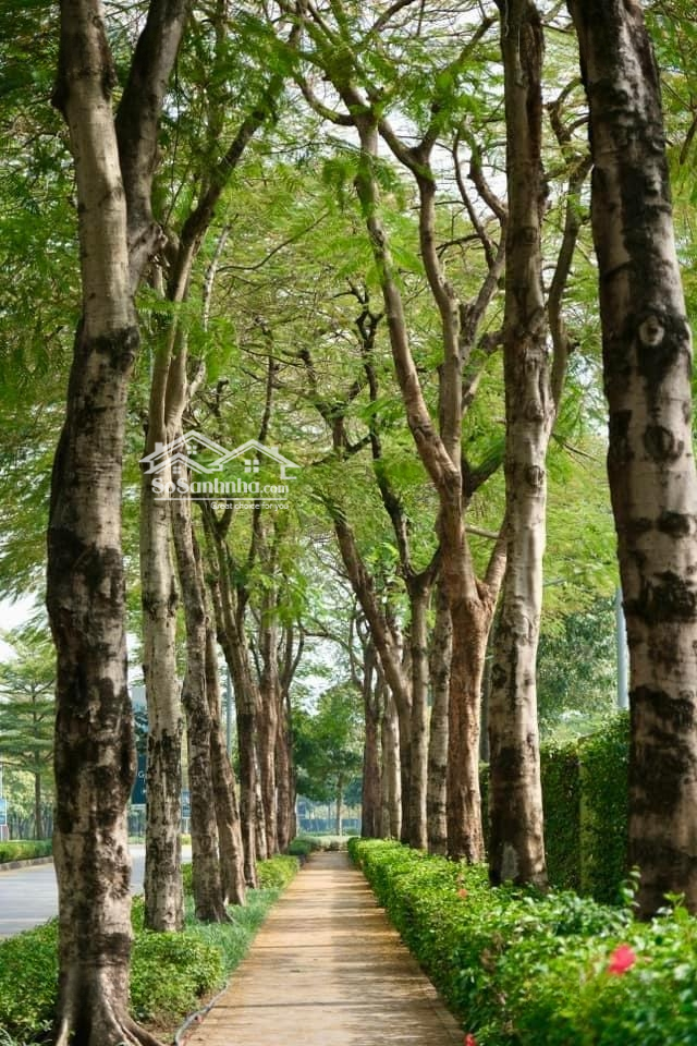 Bán Bt Song Lập Gamuda Gardens Căn Góc Vị Trí Cực Đẹp, 91,5 Tỷ, 305M2, 4 Phòng Ngủ 5 Vệ Sinh Hot!