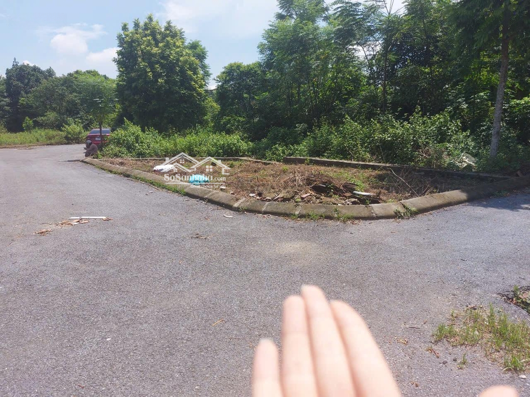 Cơ Hội Đầu Tư Sinh Lời Cao: Bán Lô Góc 78M Phúc Tiến, Giá Siêu Rẻ, Vị Trí Đắc Địa!