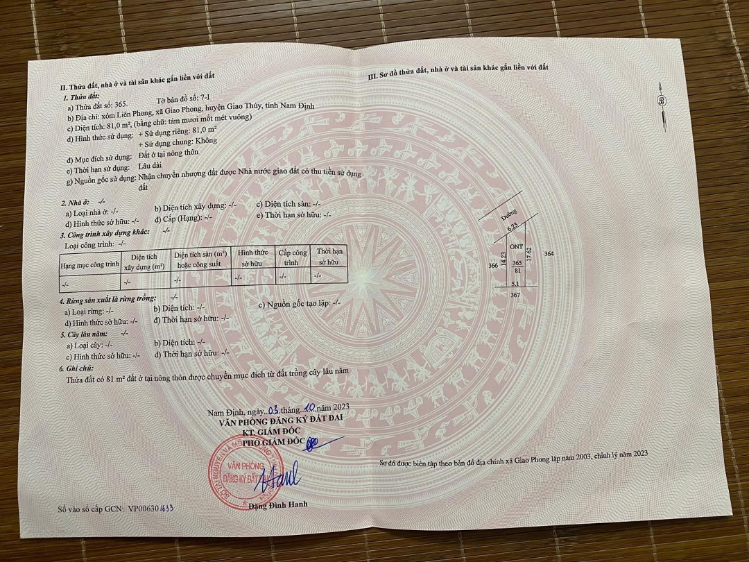 Cần Tiền Em Bán Gấp 81 Mét Đất Biển Quất Lâm Nam Định Này Giá Rẻ Hơn Thị Trường 300 Triệu