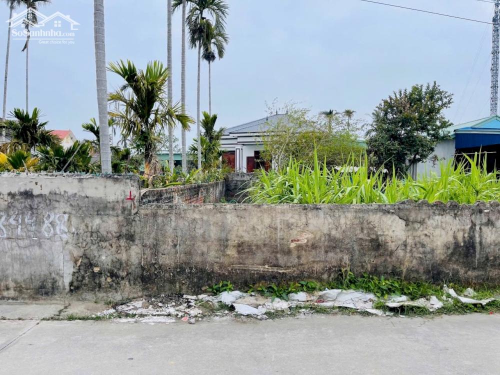 Bán đất Đại Đồng - Kiến Thụy - Hải Phòng