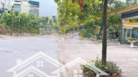 Tái Định Cư Tứ Hiệp View Vườn Hoa Và Trường Ngô Sĩ Kiện