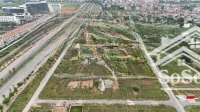 Bán Đất Dịch Vụ 101 M2 Tại Xã An Thượng, Hoài Đức, Hà Nội