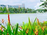 Chính Chủ Cân Cho Thuê Nhà Phố Lakeview City Giá 32 Triệu/Th Nội Thất Mới Đẹp. Liên Hệ: 0917330220