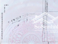 Chỉ 800 Tr Sở Hữu Ngay Lô Đất 20 X 50 - Diện Tích 1081,6 M2 Có 200M2 Tc (Shr) Phú Giáo, Bình Dương