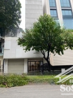 Bán Nhà Mặt Phố Vương Thừa Vũ. Diện Tích: ,180M X 4 Tầng.thang Máy. 2 Mặt Thoáng , Giá Bán, 70 Tỷ