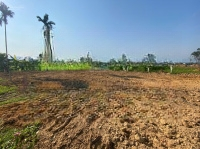 Bán Đất Tại Xã Hòa Liên, Hòa Vang, Đà Nẵng, 1 Tỷ, 207M2, Pháp Lý Đầy Đủ