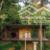Chính Chủ Sở Hữu Ngay Lô Đất Nền Nghỉ Dưỡng 1000M2 Tại Bảo Lâm Giá Chỉ 1,69 Tỷ