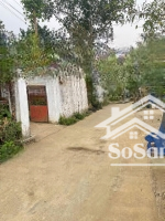 Nhỉnh Tỷ Có Lô Đất Sát Tỉnh Lộ 87 Vị Trí Đẹp, Đầu Tư Siêu Tốt