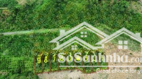 9 Lô Đất Vàng Full Hồng Cách Ql29 Hướng Đi Phú Yên Chỉ 5'' Đi Xe - Mặt Tiền Đường Nhựa Liên Xã