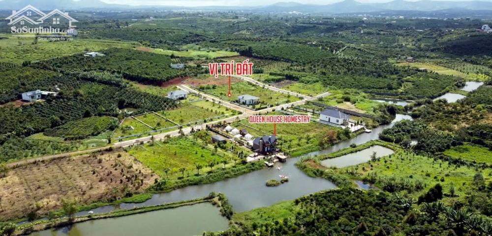 BÁN NHANH LÔ ĐẤT 545m2 ngang 20m TẠI LỘC AN, ĐƯỜNG NHỰA, SẴN SỔ NGAY KDC