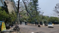 Bán Nhà Phố Huế, Phố Xuyên Dọc Hà Nội. Vị Trí Đắc Địa,Mặt Tiền8M,Diện Tích90M. Building, Apartment, Villa