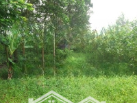 Bán Đất Đẹp Tại Phường Tân Thành, Thái Nguyên, Giá Bán 1,5 Tỷ, Diện Tích 2200M2