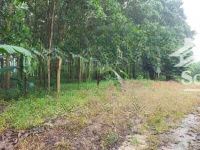 Bán Đất Đẹp Tại Phường Tân Thành, Thái Nguyên, Giá Bán 1,5 Tỷ, Diện Tích 2200M2