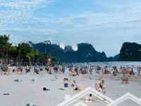 Chính Chủ Cần Bán Lô Đất Nền Phương Đông Vân Đồn Giá Chỉ Từ 2X Tr/1M ,Quá Rẻ Để Đầu Tư