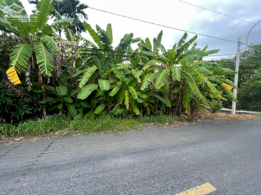Bán Đất Mặt Tiền Trương Văn Đa 21.000m2 Có 1.300m2 Thổ Cư - 3.3Tr/m2