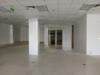 Cho Thuê Văn Phòng Tòa Nhà Sts Tower, Góc 2 Mặt Tiền Sáng Đẹp Đại Lộ Hòa Bình