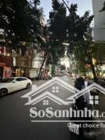 Bán Nhà Mặt Phố Trần Đại Nghĩa, 55 Tỷ, 250M2, Đẹp Xuất Sắc, Chính Chủ, Hà Nội