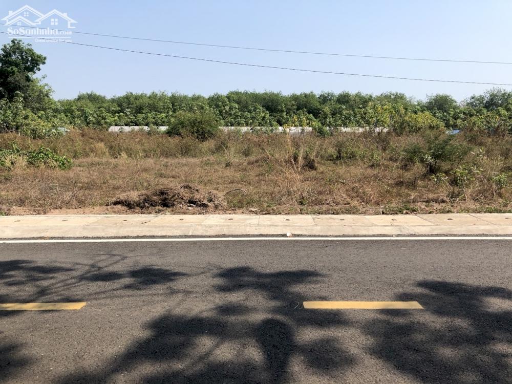 SANG GẤP 264M2 ĐẤT TX, NGAY GẦN QL KẾ CỤM CÔNG NGHIỆP. GIÁ 480 TR