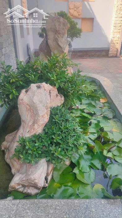 HẠ KỊCH SÀN GIÁ BẮT ĐÁY SIÊU DINH THỰ MẶT TIỀN HỒ BÁ PHẤN Q9 THỦ ĐỨC CHÍNH CHỦ CẦN BÁN