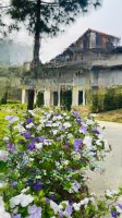 Duy Nhất 1 Suất Ngoại Giao Quỹ Ẩn Căn Bt Luxury Thanh Xuan Valley,Ck Thêm 500 Triệu Liên Hệ: 0987.975.976