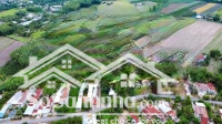 Bán Nhanh 2 Lô Liền Kề Đất Tt Dương Minh Châu 150M Full Thổ Cư. Chỉ Cần 150 Triệu Là Công Chứng Ngay.