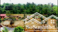 Chủ Cần Tiền Gấp Nhờ Em Bán Mảnh Đấtdiện Tích4598M2 Tại Thôn Quyết Xã Yên Bài Ba Vì Hà Nội