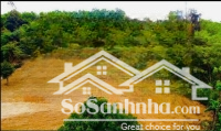 Chủ Cần Tiền Gấp Nhờ Em Bán Mảnh Đấtdiện Tích4598M2 Tại Thôn Quyết Xã Yên Bài Ba Vì Hà Nội