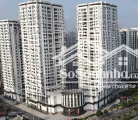 Tổng Hợp Quỹ Căn 2 - 3 Phòng Ngủgiá Chỉ Từ 4 Tỷ 55 Tại Dự Án Iris Garden. Liên Hệ: 0397942003
