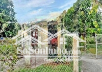 Cần Bán Gấp Mảnh Vườn Mít Siêu Đẹp Siêu Bổ Dưỡng, Phù Hợp Với Anh Chị Có Nhu Cầu Mua Làm Vườn