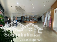 Siêu Hiếm ! Cho Thuê Nhà Mặt Phố Trần Văn Lai, Giá Tốt Chỉ Với 146 Triệu, 750M2 Lh Xem Nhà Luôn! !