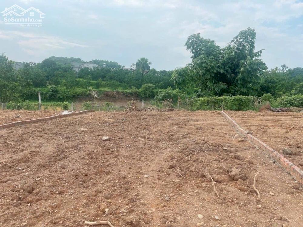 Bán đất Hoàng Cương Thanh Ba Phú Thọ Giá Rẻ 2400x20m chỉ 7 Tỷ 6.