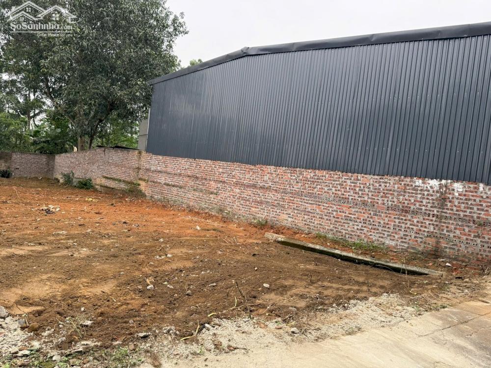 Bán đất Hoàng Cương Thanh Ba Phú Thọ Giá Rẻ 2400x20m chỉ 7 Tỷ 6.