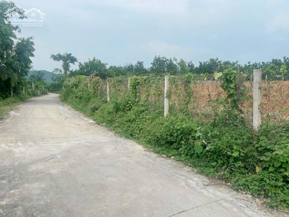 Bán đất Hoàng Cương Thanh Ba Phú Thọ Giá Rẻ 2400x20m chỉ 7 Tỷ 6.