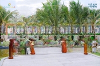 Rổ Hàng 2000 Căn Para Sol Cam Ranh Bán Lại Từ 4.5 Tỷ Đã Có Sổ Hồng - Rổ Hàng Vip Tháng 4/2025