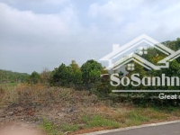 Bán 884M2 Tc Sau Lưng Chợ An Thái Sát Đường Huyện Dh 507 Sổ Sẵnmặt Tiềnđường Thông. Liên Hệ: 0325030897 (Vy)