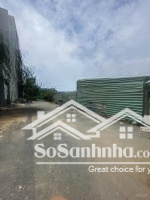 4300M2 Có 3700M2 Thổ Cư Ngang 80M Sát Picity Tiện Làm Biệt Phủ - Phân Lô - Kho Xưởng Chỉ 26 Triệu/M2