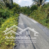 Bán 4700M2 Thổ Cư Đường Ô Tô Xã Mỹ Phú Huyện Thủ Thừa. Tỉnh Long An