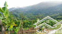 Bán 20476.1M2 Đất Đường Đắc Lộc, Xã Vĩnh Phương, Nha Trang Giá 400 Ngàn/M2